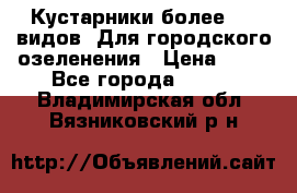 Кустарники более 100 видов. Для городского озеленения › Цена ­ 70 - Все города  »    . Владимирская обл.,Вязниковский р-н